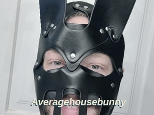 Averagehousebunny