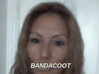 BANDACOOT