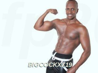 BIGCOCKXX19