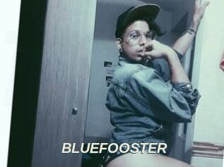 BLUEFOOSTER
