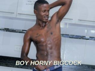 BOY_HORNY_BIGCOCK