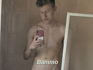 Bammo