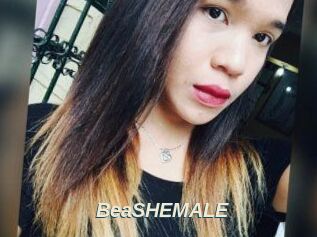 BeaSHEMALE