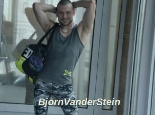 BjornVanderStein