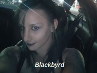 Blackbyrd