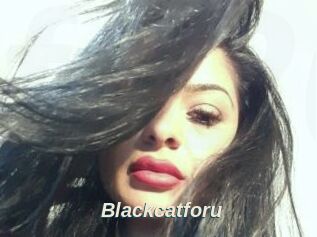 Blackcatforu