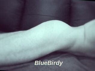 BlueBirdy