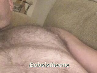 Bobsistheone
