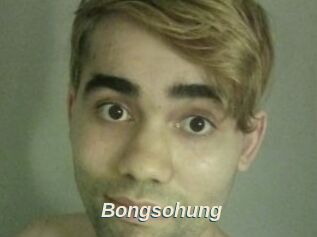 Bongsohung