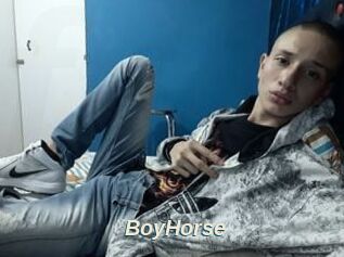 BoyHorse