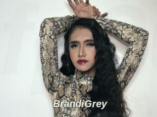 BrandiGrey