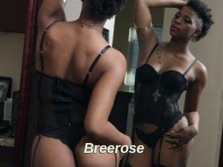 Breerose
