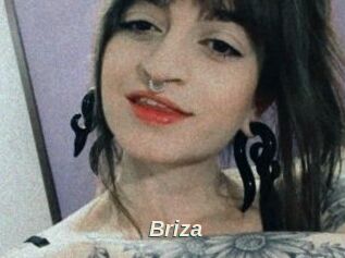 Briza