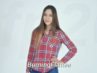 BurningFlamee