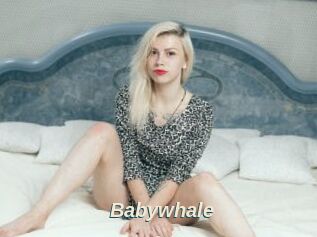 Babywhale