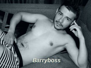 Barryboss