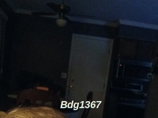 Bdg1367