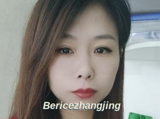 Bericezhangjing