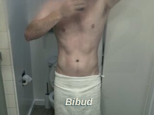 Bibud