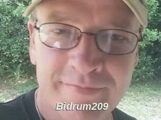 Bidrum209