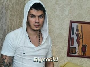 Bigcock1