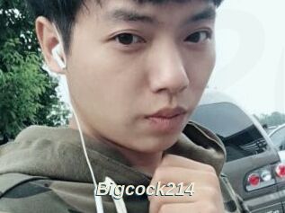 Bigcock214