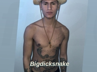 Bigdicksnake