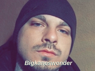 Bigkaneswonder