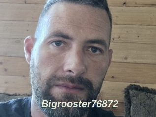 Bigrooster76872