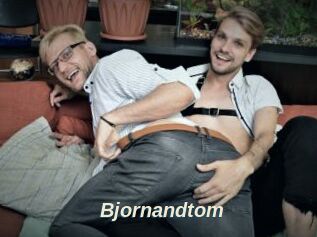 Bjornandtom