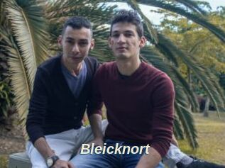 Bleicknort