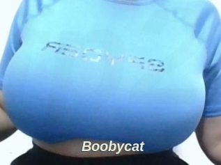 Boobycat