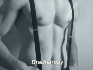 Bradharvey