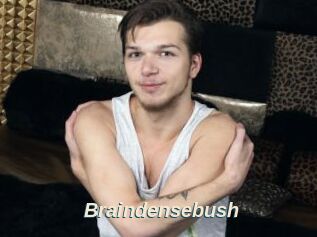 Braindensebush