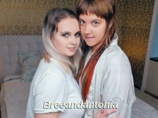Breeandantonia