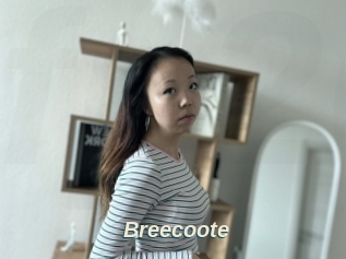 Breecoote