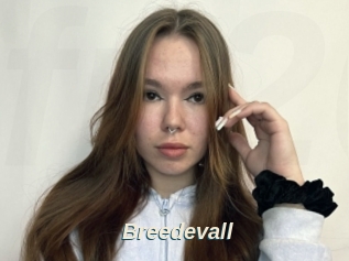 Breedevall