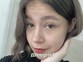 Breegrief