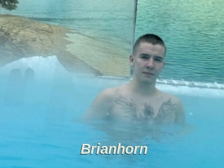 Brianhorn