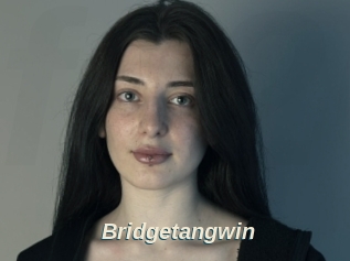 Bridgetangwin