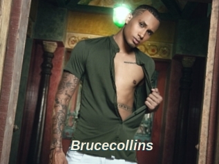 Brucecollins