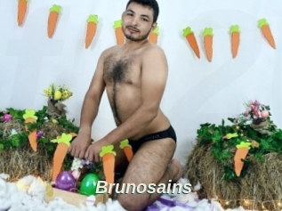 Brunosains