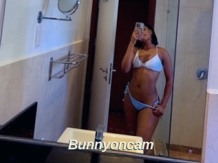 Bunnyoncam
