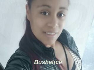 Bushalice