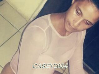 CASEY2004