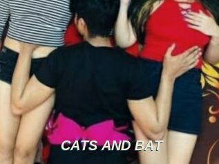 CATS_AND_BAT