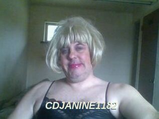 CDJANINE1182