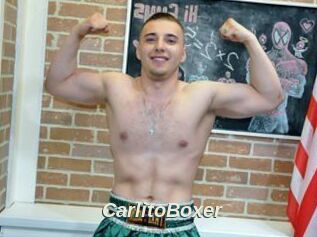 CarlitoBoxer