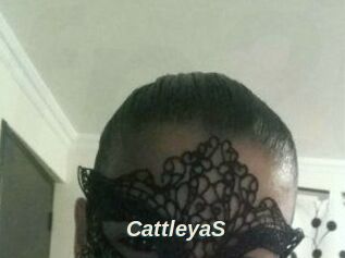 Cattleya_S