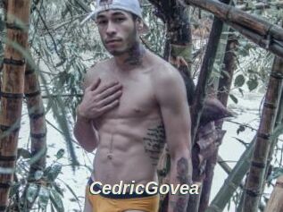 CedricGovea